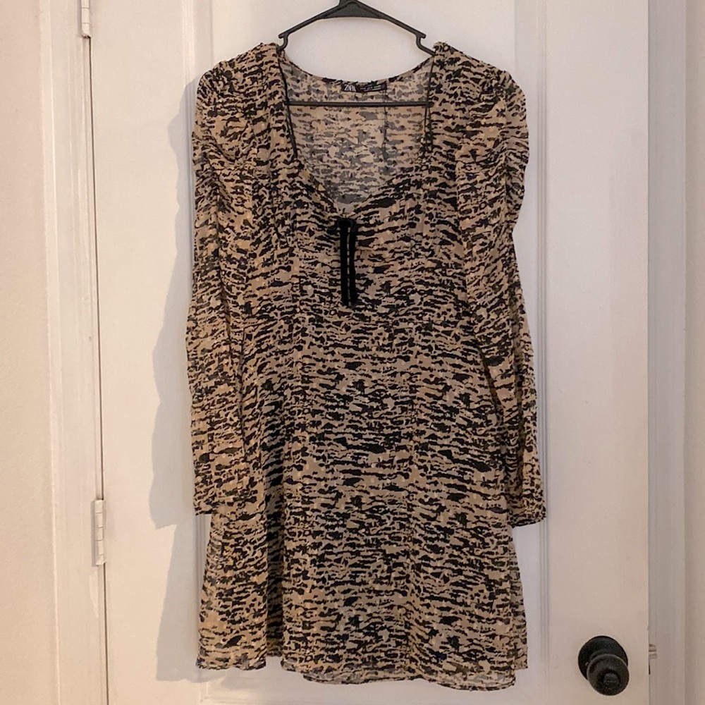 Zara dress